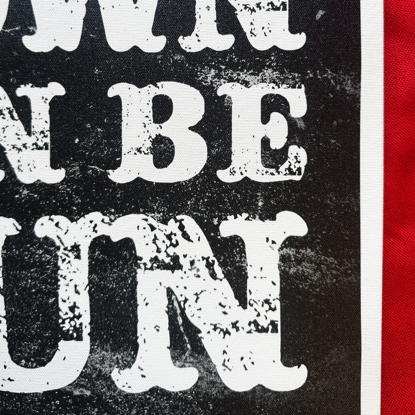 NOT FINAL - variations - Premium Canvas Quote Art "Going Down Can Be Fun Too" by Artist & Designer Lucas Gillon